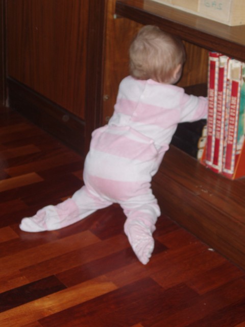 P1010245.JPG