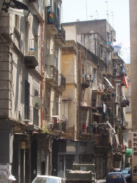 P1010252.JPG