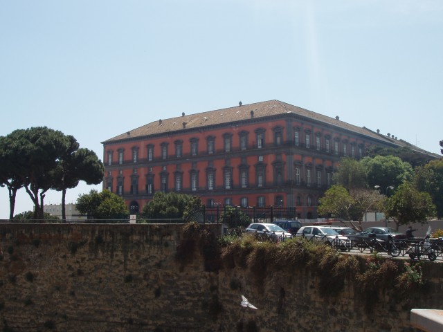 P1010270.JPG