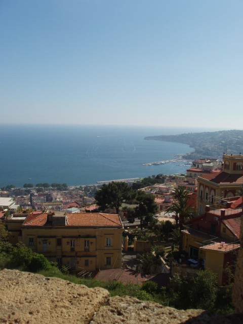P1010313.JPG