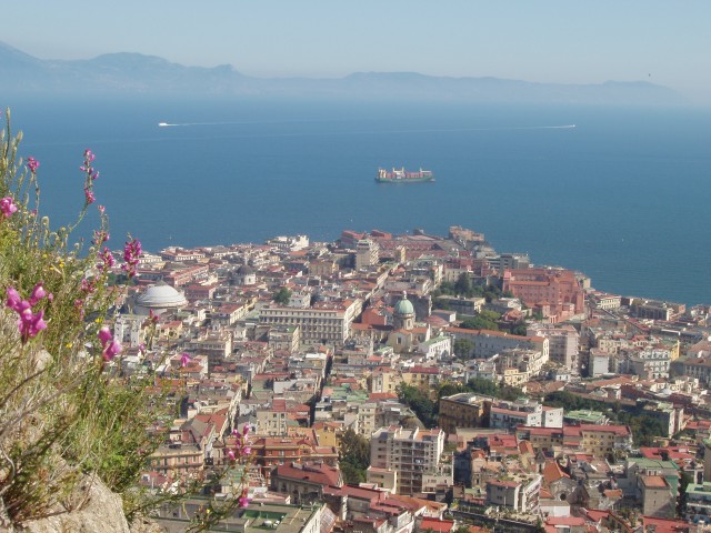 P1010321.JPG