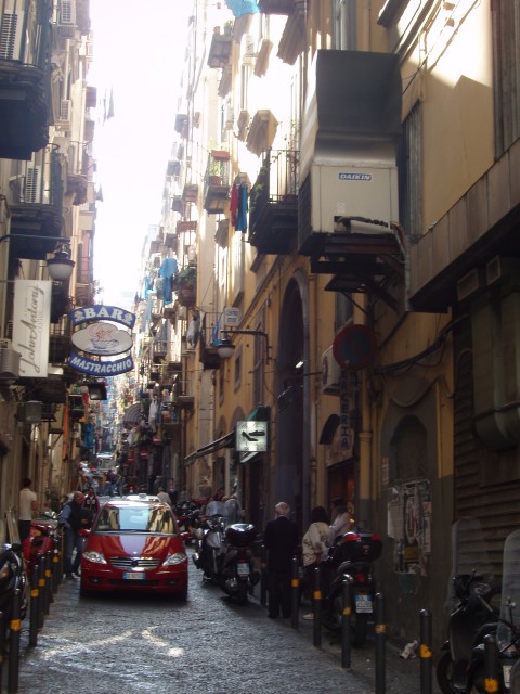 P1010328.JPG