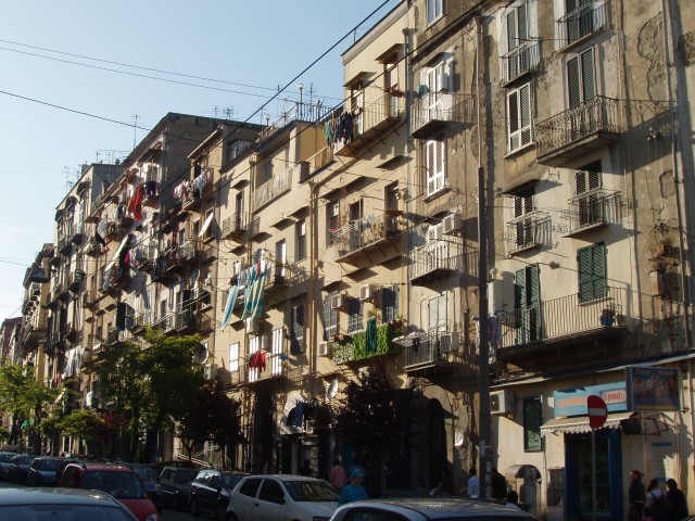 P1010338.JPG