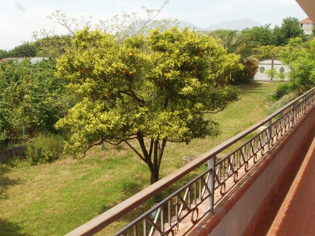 P1010358.JPG