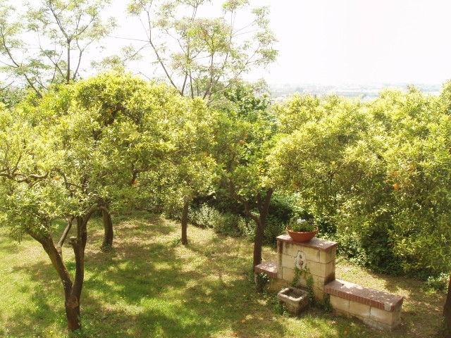 P1010359.JPG