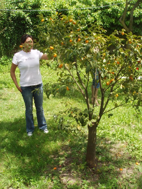 P1010365.JPG