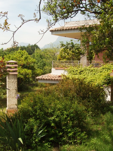 P1010367.JPG