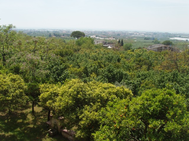 P1010368.JPG
