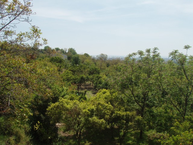 P1010370.JPG