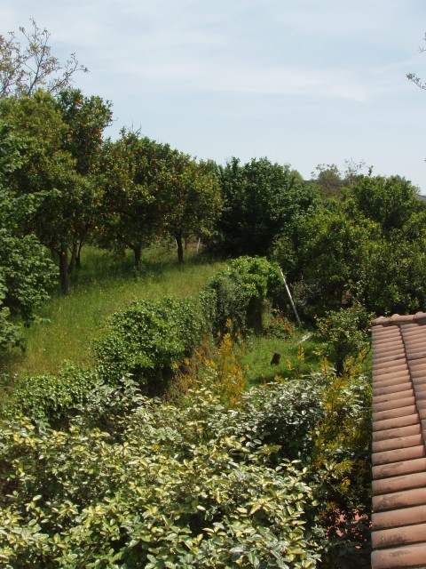 P1010373.JPG