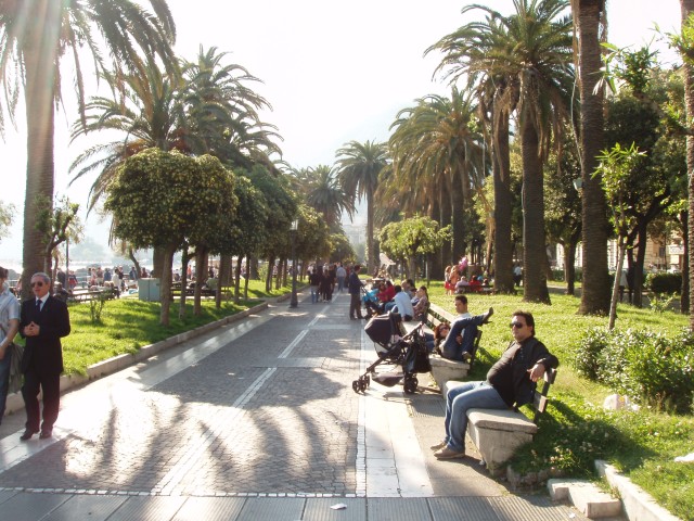 P1010473.JPG