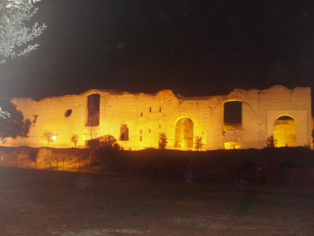 P1010004.JPG
