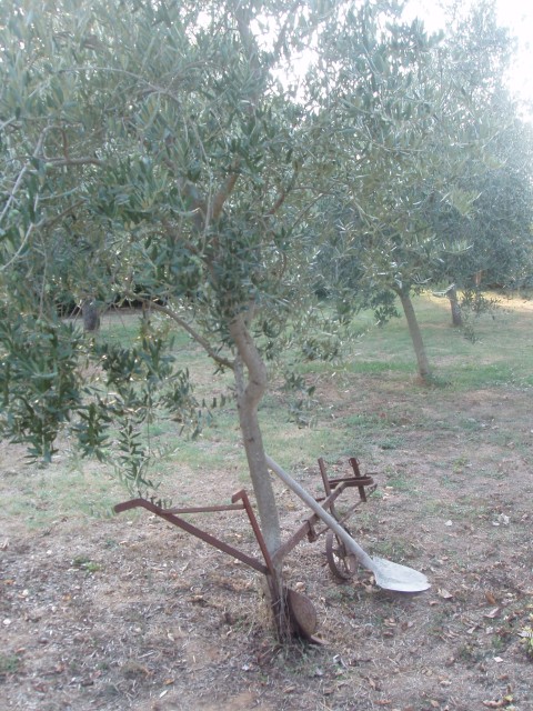 P1010077.JPG