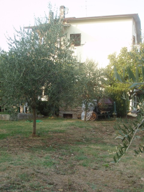 P1010079.JPG