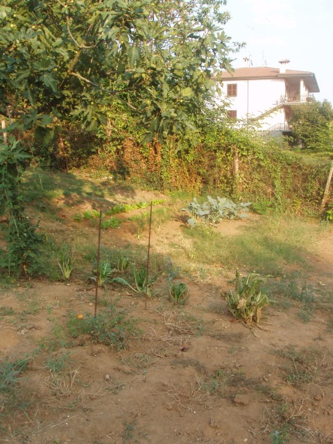 P1010082.JPG