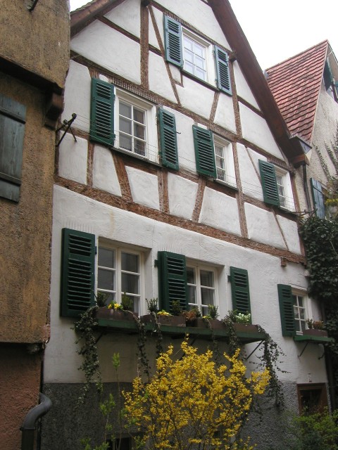 p1010052.jpg