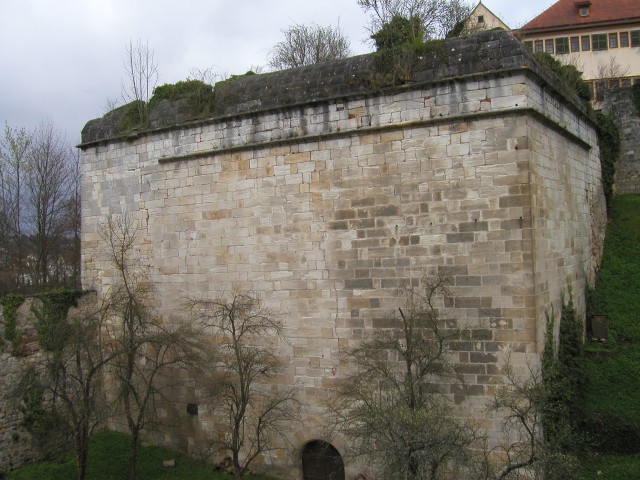 p1010058.jpg