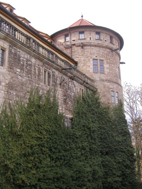 p1010064.jpg