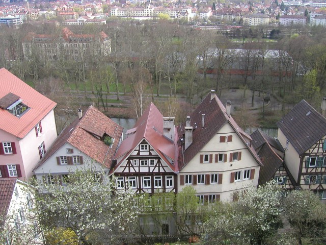 p1010065.jpg