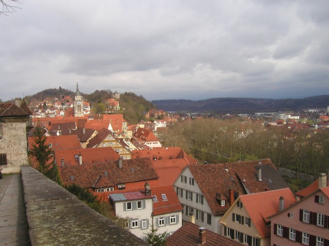 p1010067.jpg
