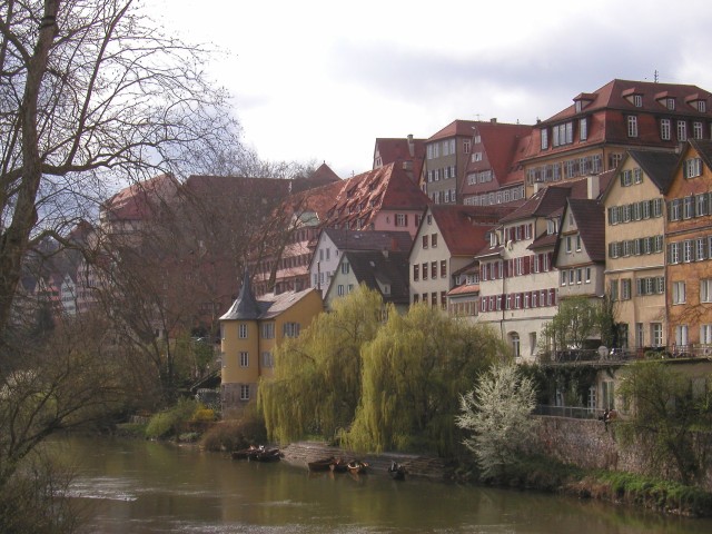 p1010069.jpg