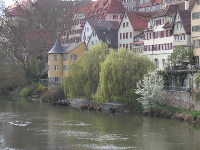 p1010070.jpg