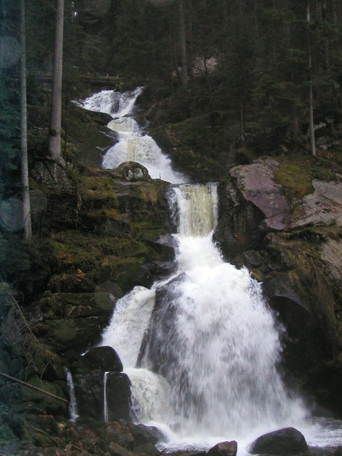 p1010116.jpg