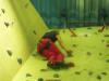 DSCN0048_thumb.JPG