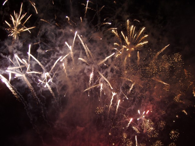 P1010164.JPG