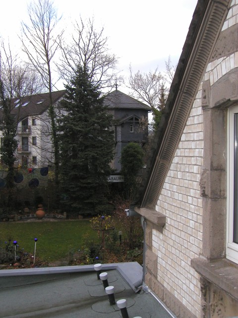 P1010003.jpg