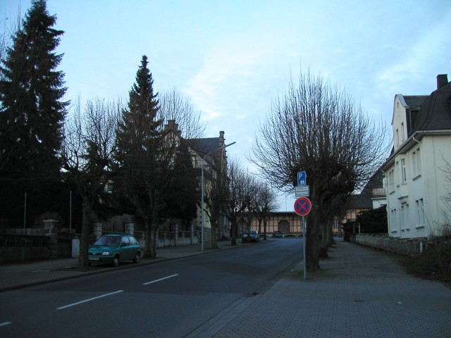 P1010004.JPG