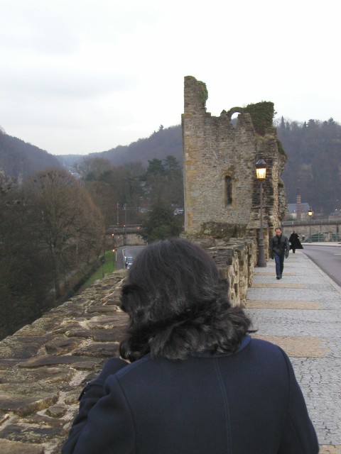 P1010040.jpg