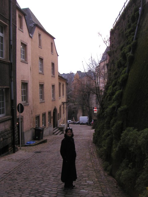 P1010045.jpg
