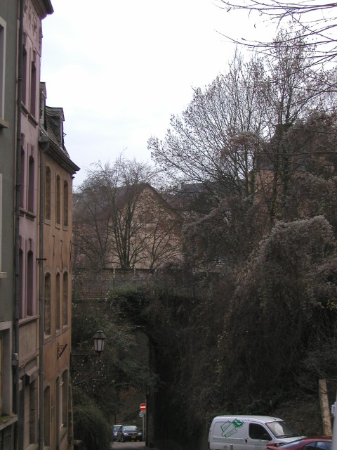 P1010046.jpg