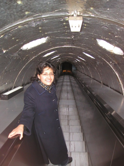 P1010052.jpg