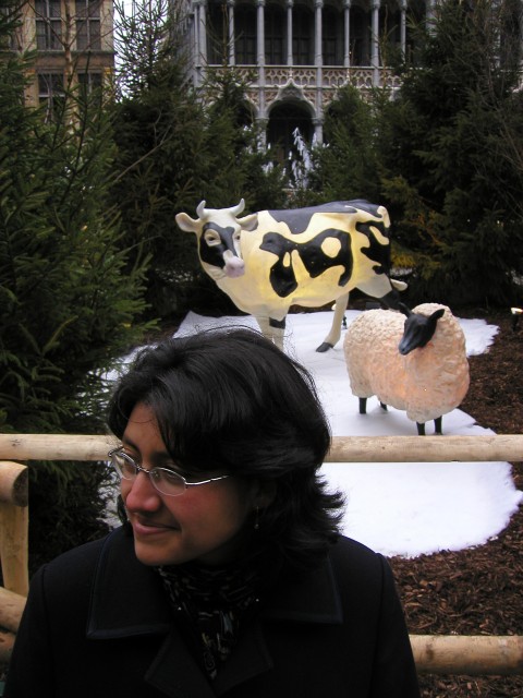 P1010061.jpg