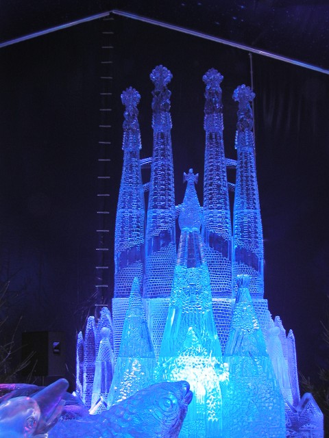 P1010102.jpg