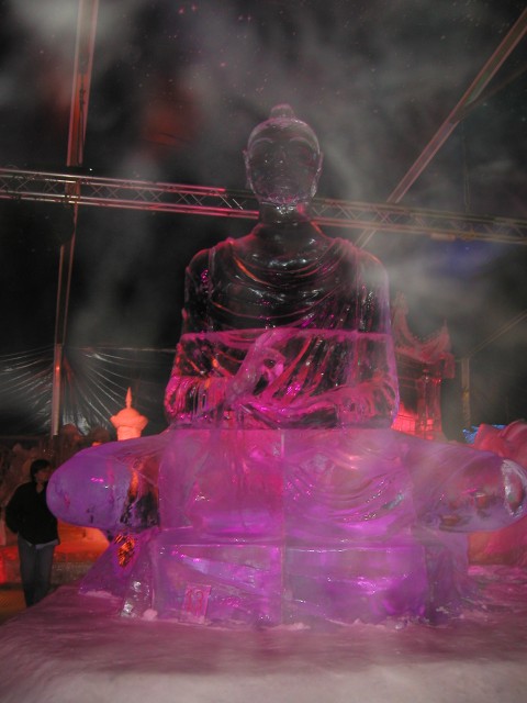 P1010107.jpg