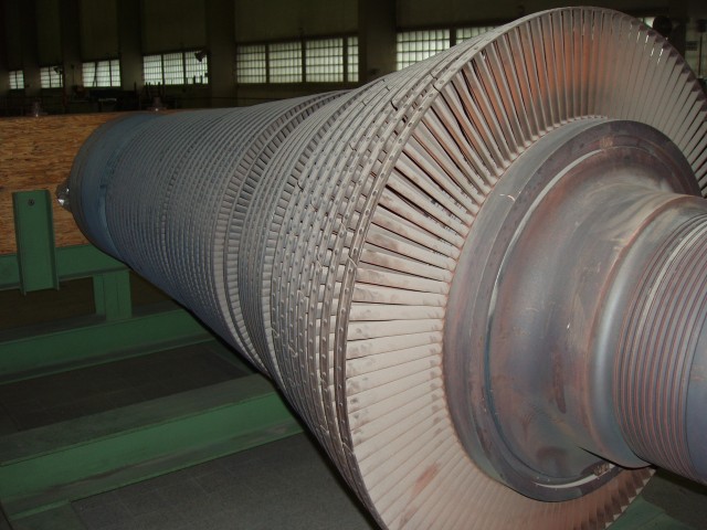 P1010004.JPG