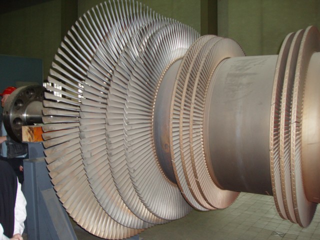 P1010006.JPG