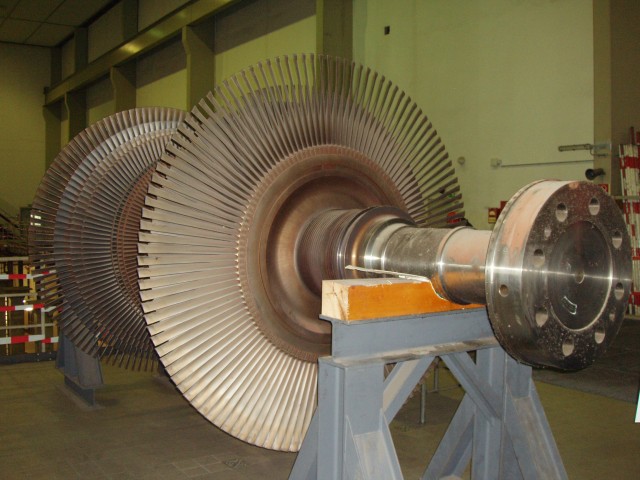 P1010008.JPG