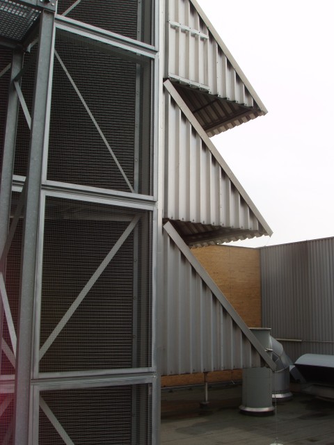 P1010019.JPG