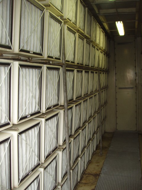 P1010020.JPG
