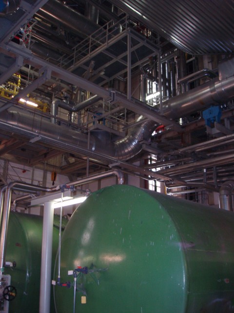 P1010025.JPG