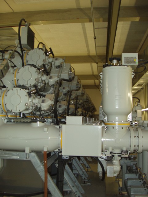P1010029.JPG
