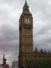 P1010040_thumb.JPG