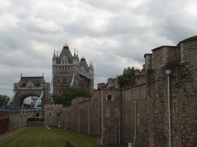 P1010070.JPG