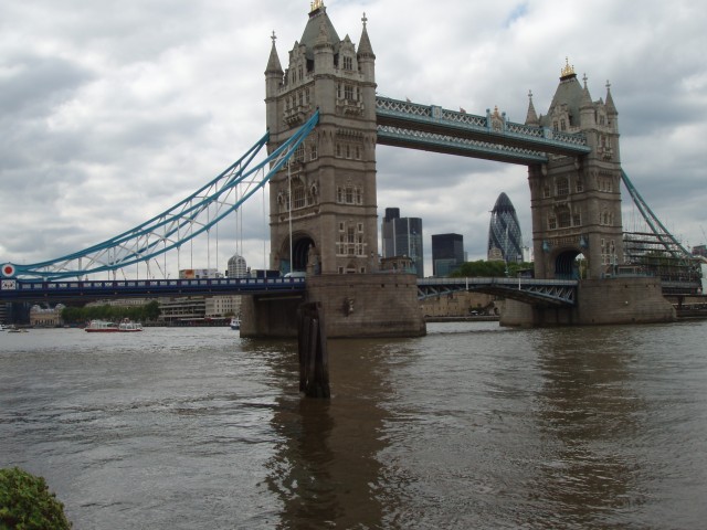 P1010078.JPG