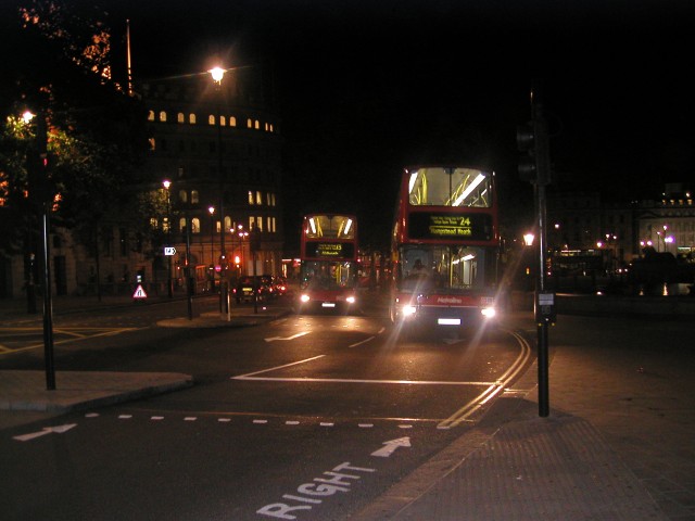 P1010129.JPG