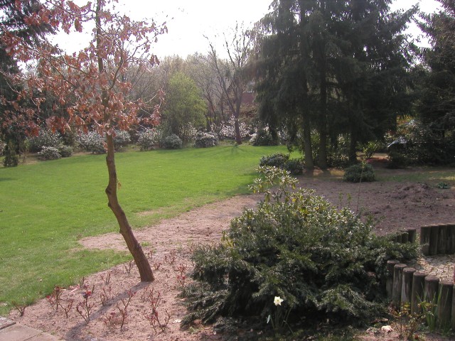 ap1010142.jpg